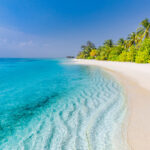 5510 Kopie 5510 Kopie